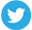twitter-icon